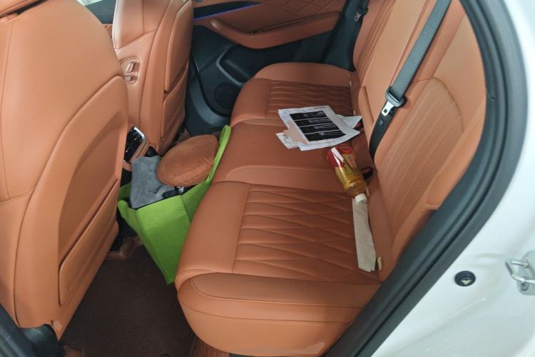 Used NETA L 2024 Extended-Range 310 Flash-Charge Red Edition Left Rear Seat