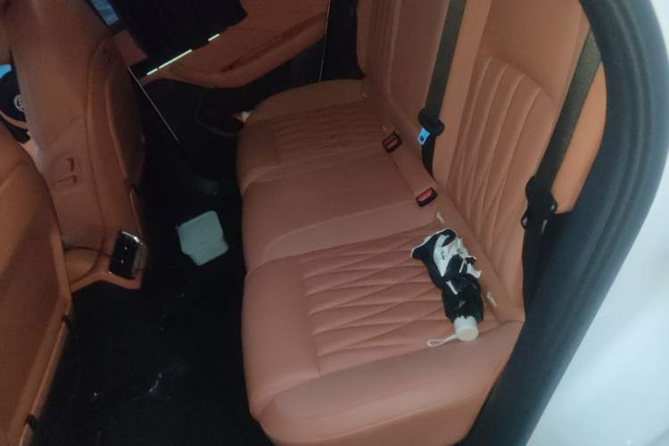 Used NETA L 2024 Extended-Range 310 Flash-Charge Red Edition Left Rear Seat