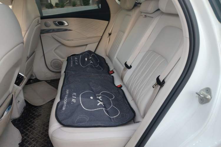 Used NETA L 2024 Extended-Range 310 Flash Charge PRO Edition Left Rear Seat