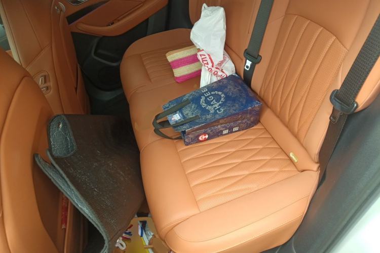 Used NETA L 2024 Extended-Range 310 Flash-Charge Red Edition Left Rear Seat
