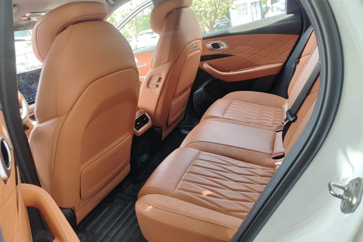 Used NETA L 2024 Extended-Range 310 Flash Charge PRO Edition Left Rear Seat