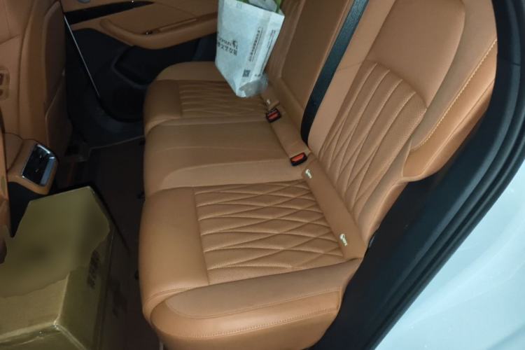 Used NETA L 2024 Pure Electric 510 Flash-Charge Red Edition Left Rear Seat