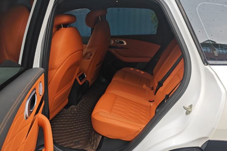 Used NETA L 2024 Extended-Range 310 Flash-Charge Red Edition Left Rear Seat