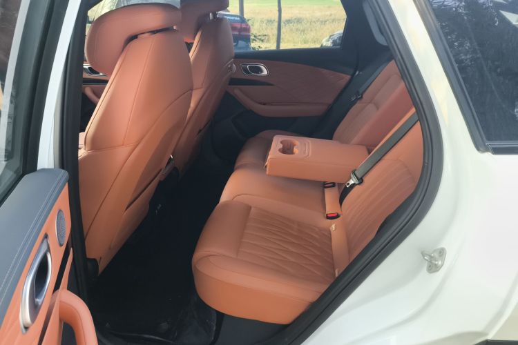 Used NETA L 2024 Extended-Range 310 Flash-Charge Red Edition Left Rear Seat