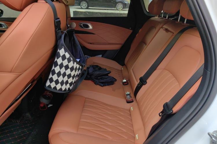 Used NETA L 2024 Pure Electric 510 Flash-Charge Red Edition Left Rear Seat