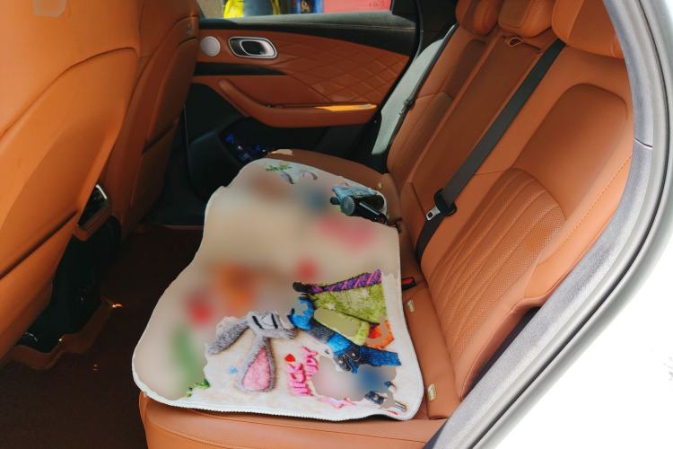 Used NETA L 2024 Extended-Range 310 Flash-Charge Red Edition Left Rear Seat