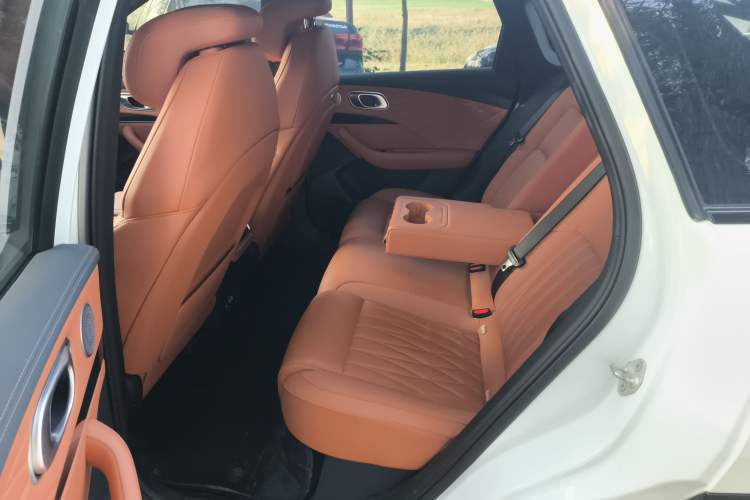 Used NETA L 2024 Extended-Range 310 Flash-Charge Red Edition Left Rear Seat