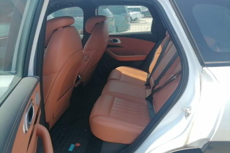 Used NETA L 2024 Extended-Range 310 Flash-Charge Red Edition Left Rear Seat