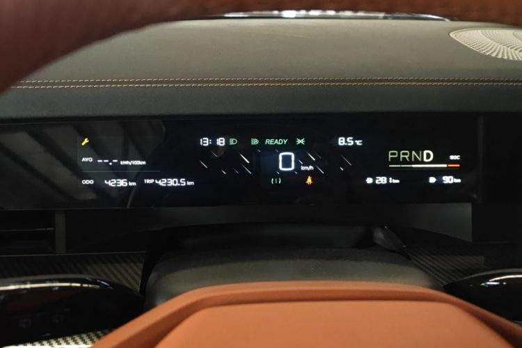 Used NETA L 2024 Extended-Range 220 PRO+ Family Package Odometer Close Up