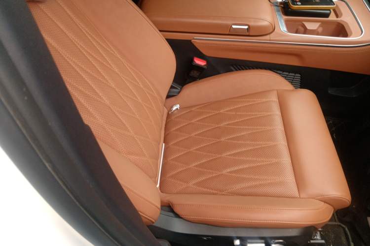 Used NETA L 2024 Range-Extended 220 Luxury Edition Right Front Seat