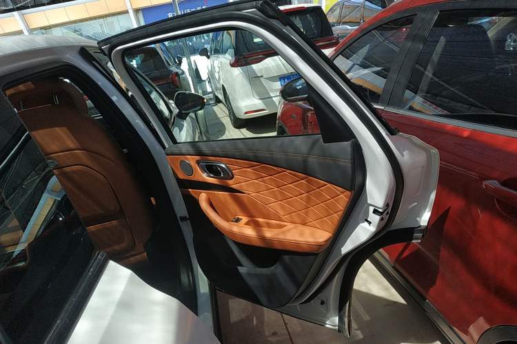 Used NETA L 2024 Extended-Range 220 PRO+ Family Package Right Rear Door Interior