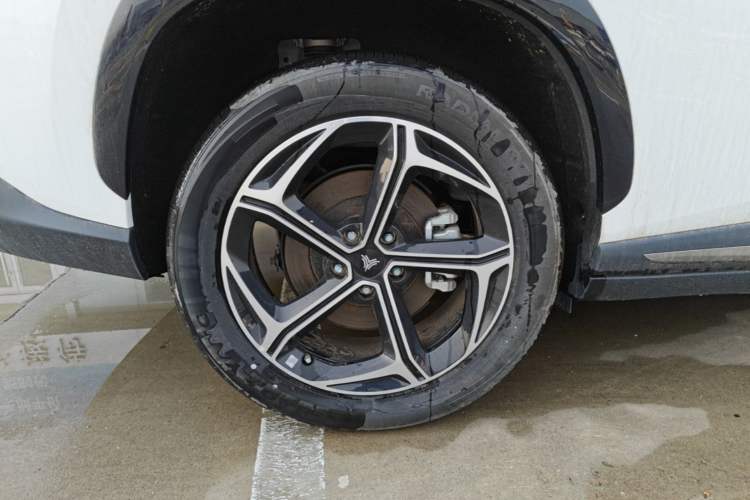 Used NETA L 2024 Extended-Range 310 Flash-Charge Edition Right Rear Wheel Hub