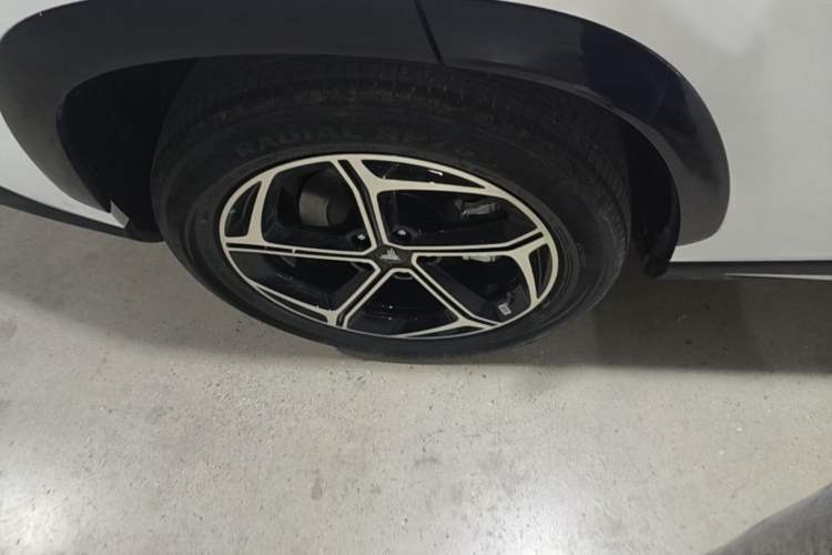 Used NETA L 2024 Extended-Range 310 Flash-Charge Red Edition Right Rear Wheel Hub