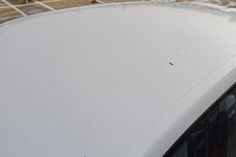 Used NETA L 2024 Extended-Range 310 Flash-Charge Edition Roof