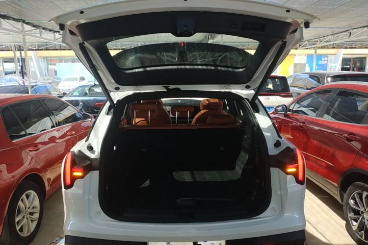 Used NETA L 2024 Extended-Range 220 PRO+ Family Package Trunk