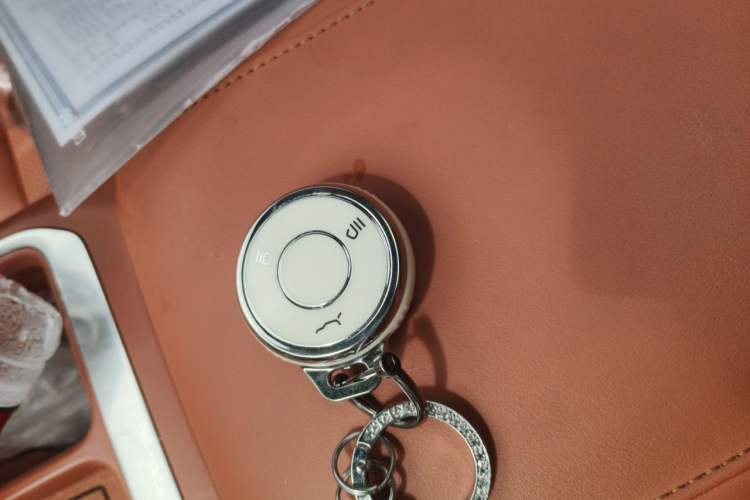Used NETA L 2024 Extended-Range 310 Flash-Charge Red Edition Vehicle Key