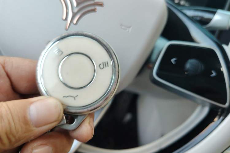 Used NETA L 2024 Extended-Range 310 Flash Charge PRO Edition Vehicle Key