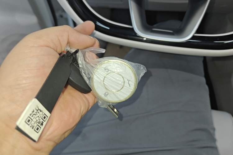 Used NETA L 2024 Extended-Range 310 Flash-Charge Red Edition Vehicle Key