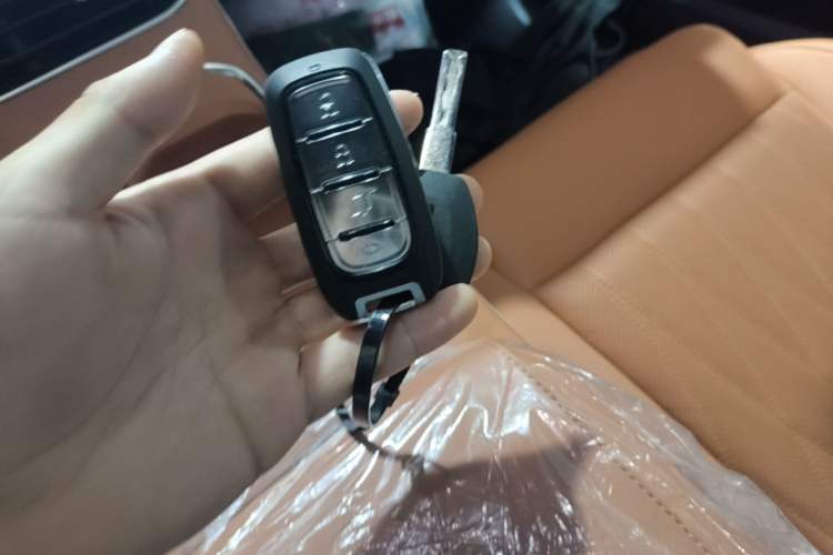 Used NETA L 2024 Extended-Range 310 Flash-Charge Red Edition Vehicle Key