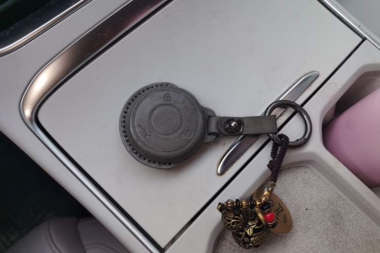 Used NETA L 2024 Extended-Range 310 Flash-Charge Edition Vehicle Key