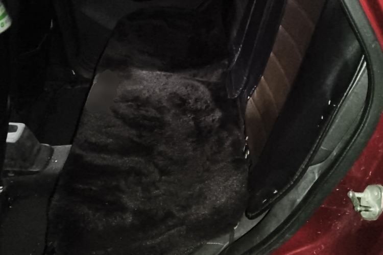 Used NETA N01 2019 380V Left Rear Seat