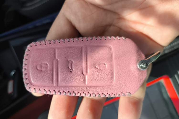 Used NETA N01 2019 380V Interior 1