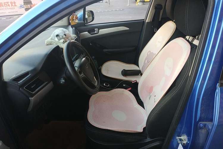 Used NETA N01 2019 380V Left Front Seat