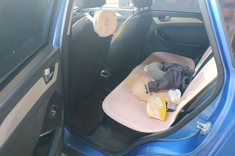 Used NETA N01 2019 380V Left Rear Seat
