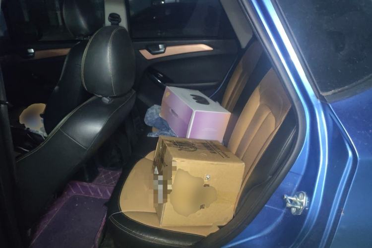Used NETA N01 2019 380e Left Rear Seat
