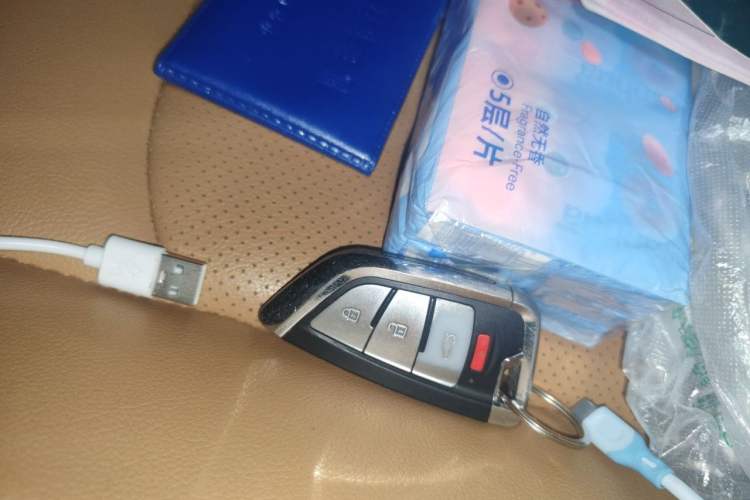 Used NETA N01 2019 380e Vehicle Key