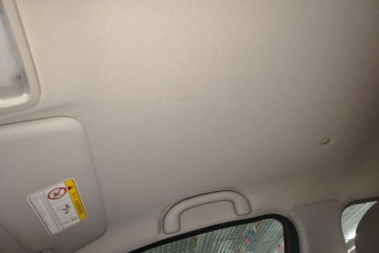Used NETA N01 2019 380s Headliner