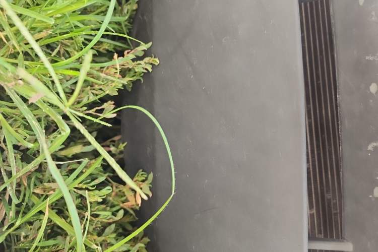 Used NETA N01 2019 380i Chassis Front