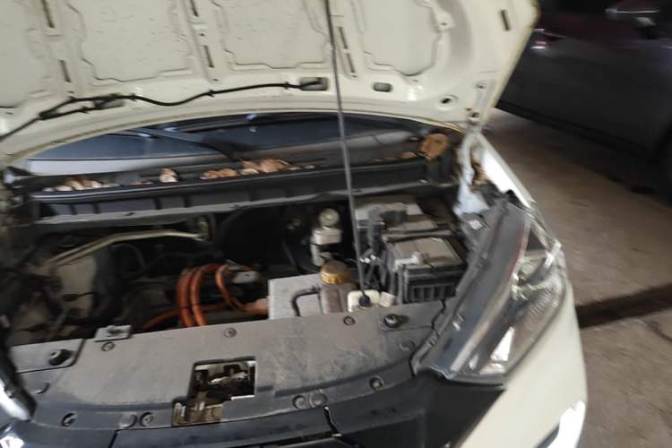 Used NETA N01 2019 380V Engine Bay Left