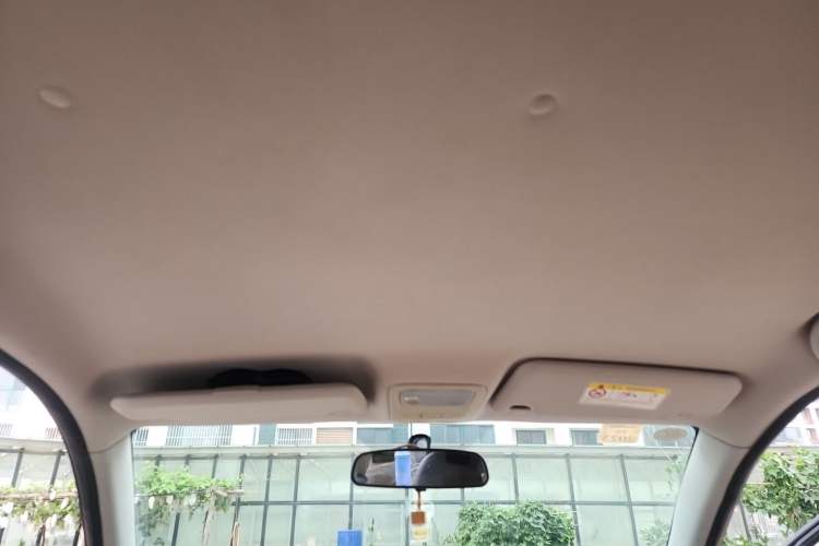 Used NETA N01 2019 380i Headliner