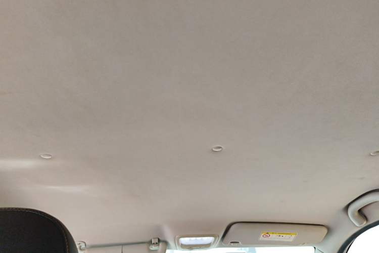 Used NETA N01 2019 380i Headliner