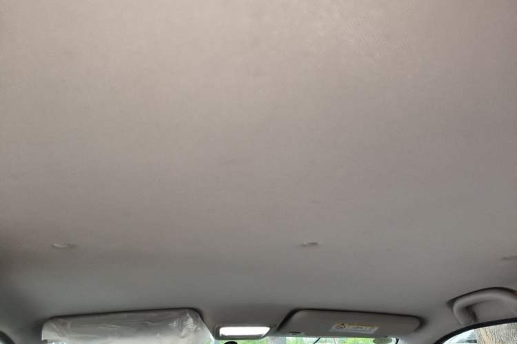 Used NETA N01 2019 380i Headliner