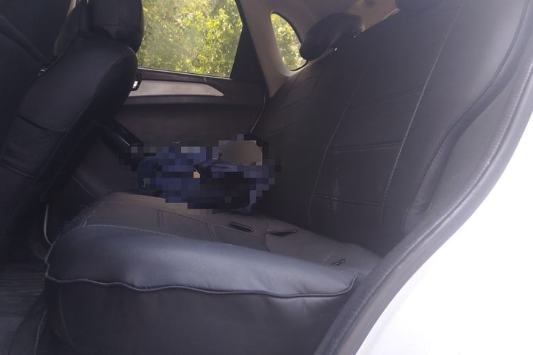 Used NETA N01 2019 380e Left Rear Seat