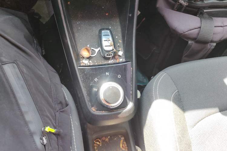 Used NETA N01 2020 Revised Version 430V Gear Lever