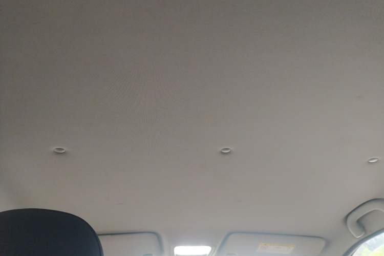 Used NETA N01 2020 430i Headliner
