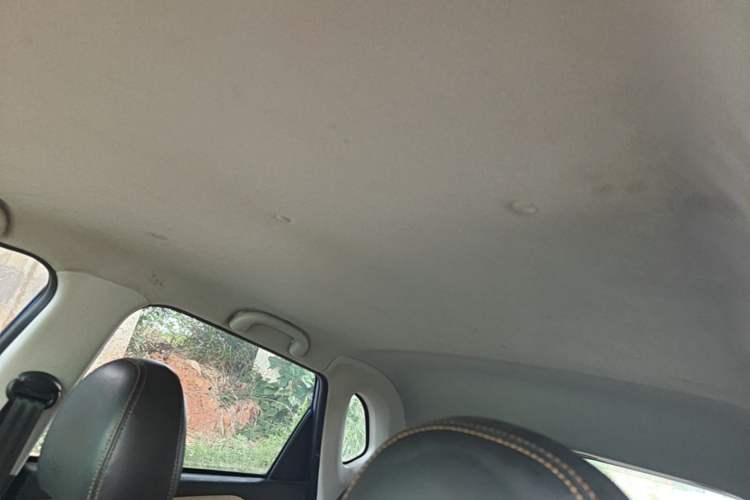 Used NETA N01 2020 430i Headliner