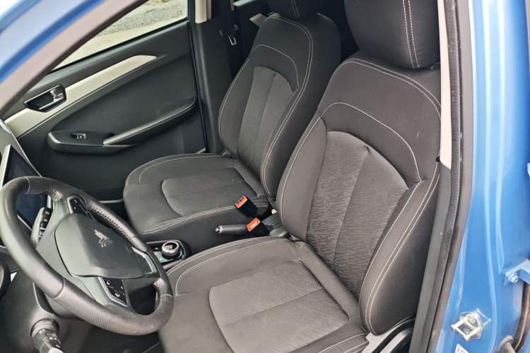 Used NETA N01 2020 Revised Version 430V Left Front Seat