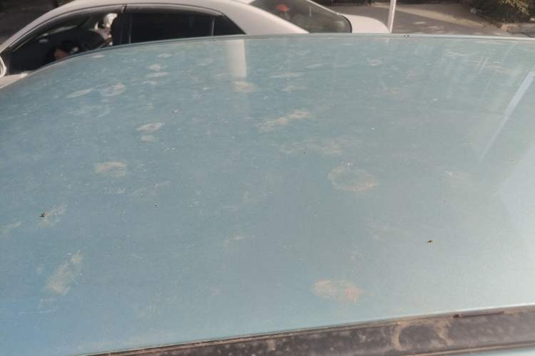 Used NETA N01 2020 380V Roof