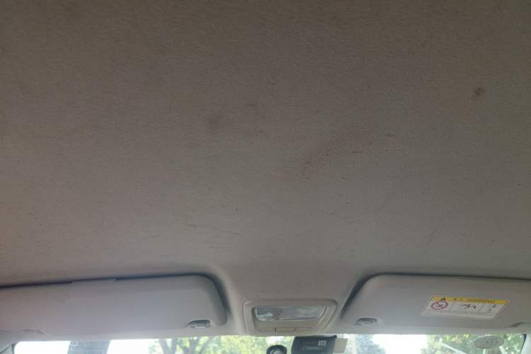 Used NETA N01 2020 380T Industry Custom Edition Headliner