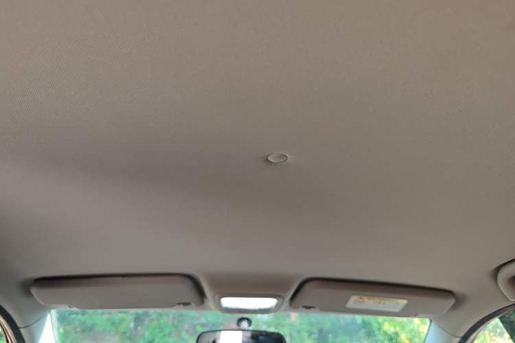 Used NETA N01 2020 380i Headliner
