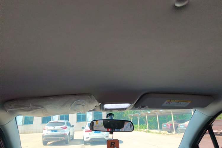 Used NETA N01 2020 380i Headliner