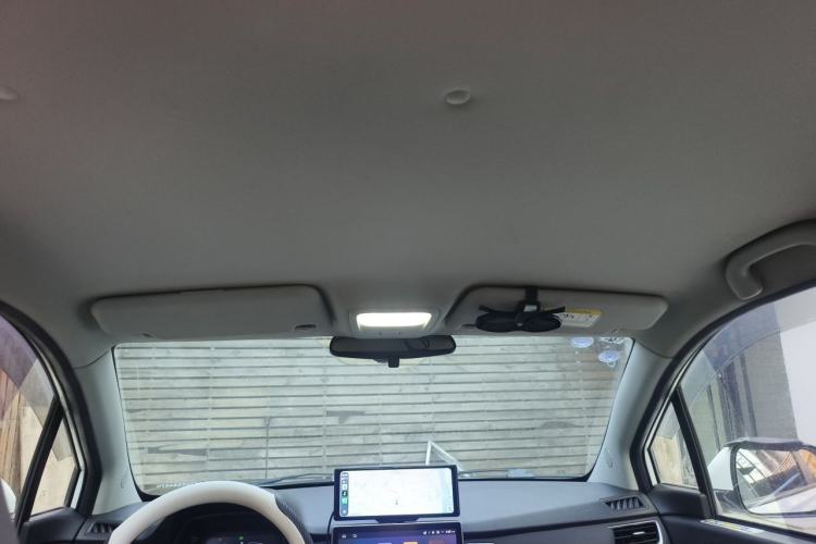 Used NETA N01 2020 380T Industry Custom Edition Headliner