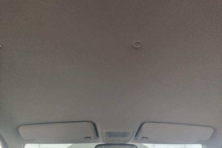 Used NETA N01 2020 380V Headliner