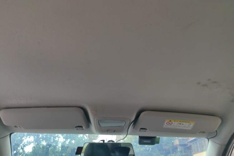 Used NETA N01 2020 430e Headliner