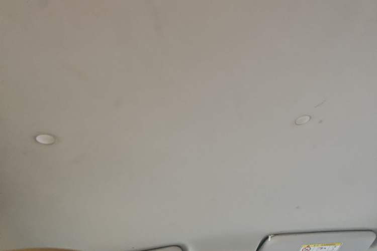 Used NETA N01  Headliner