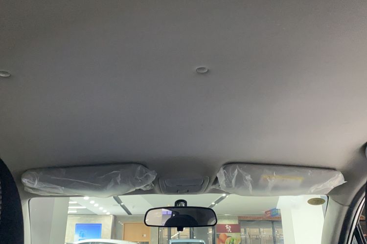 Used NETA N01 2020 380T Industry Custom Edition Headliner